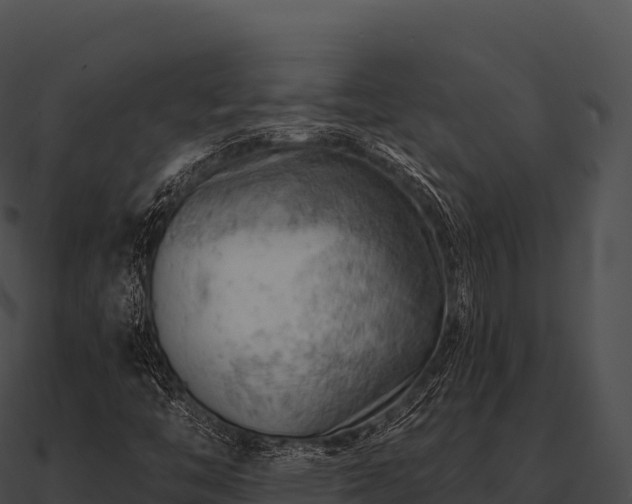 X0000090891446200708031042