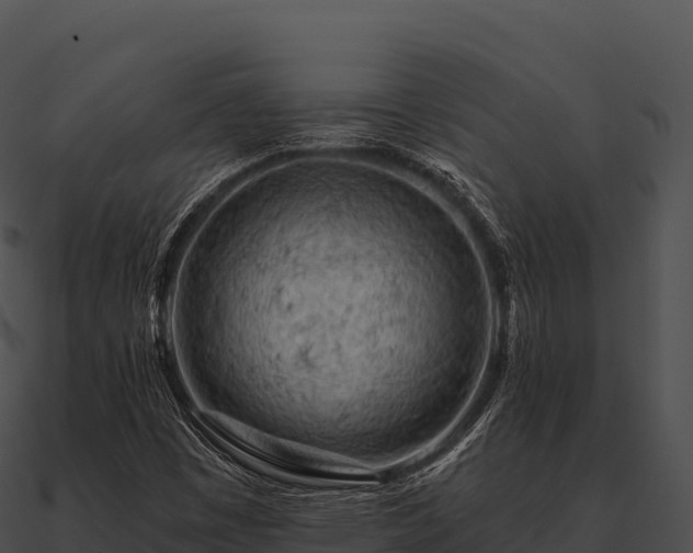 X0000090891449200708031042