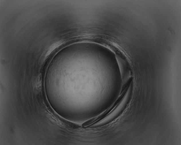 X0000090891450200708031042