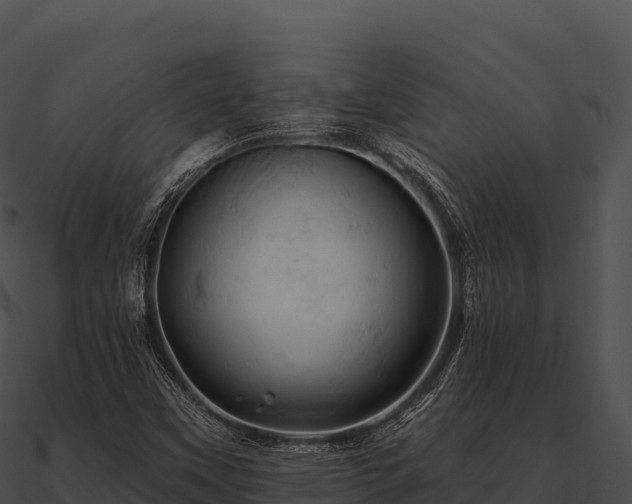 X0000090891451200708031042