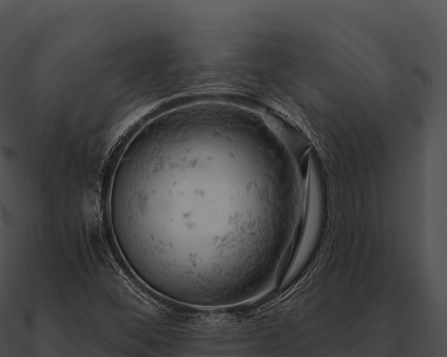 X0000090891452200708031042