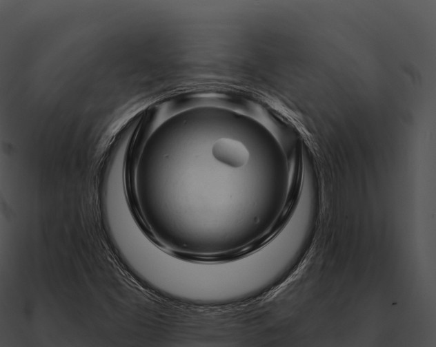 X0000090891453200708031042