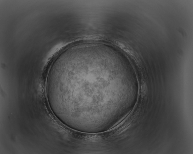 X0000090891454200708031042