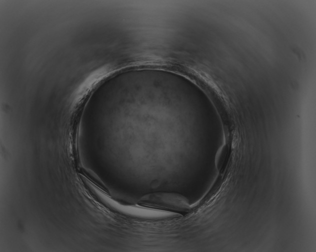 X0000090891455200708031042