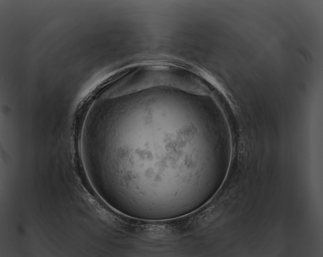 X0000090891456200708031042