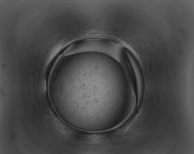 X0000090891461200708031042