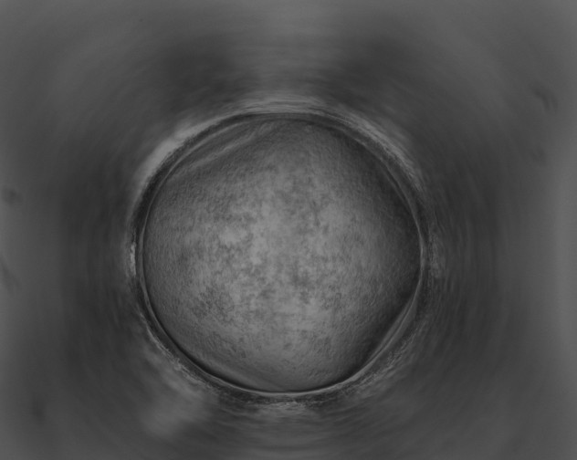 X0000090891462200708031042