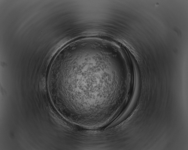 X0000090891465200708031042