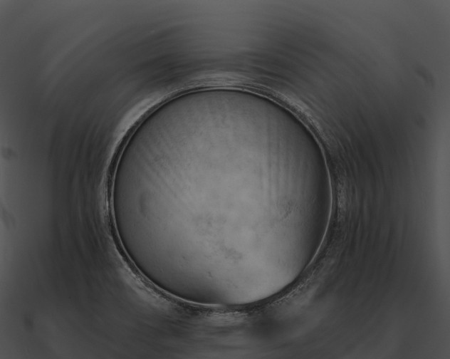 X0000090891466200708031042