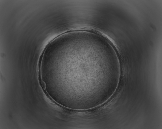 X0000090891471200708031042