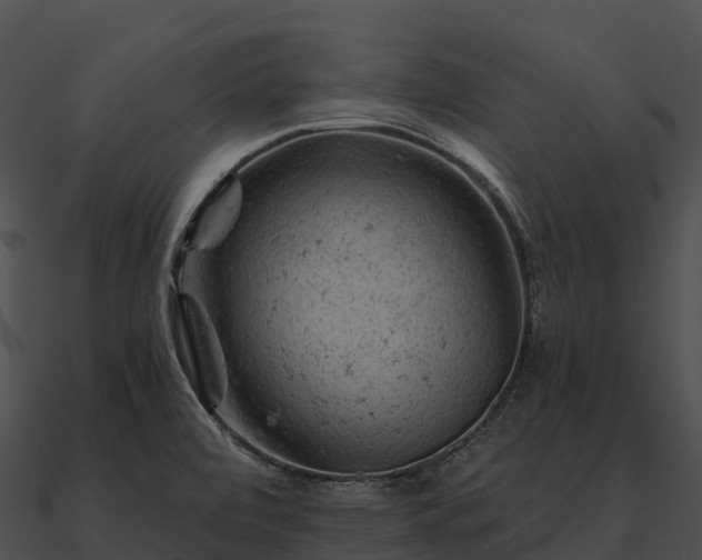 X0000090891472200708031042