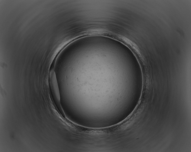 X0000090891473200708031042