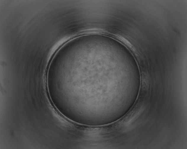 X0000090891474200708031042