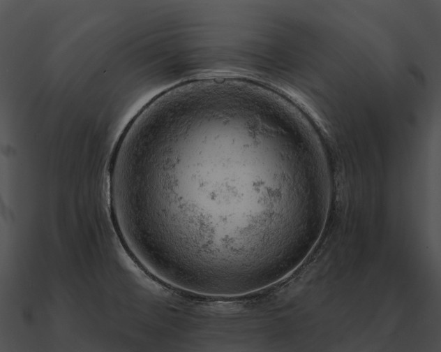 X0000090891476200708031042