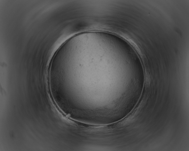 X0000090891486200708031042