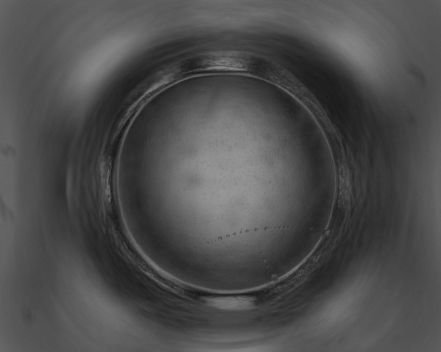 X0000090891487200708031042