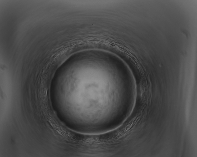 X0000090891489200708031041