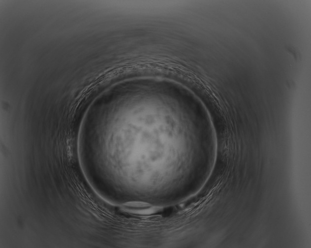 X0000090891490200708031041