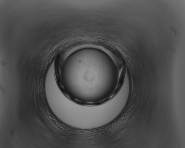 X0000090891492200708031041