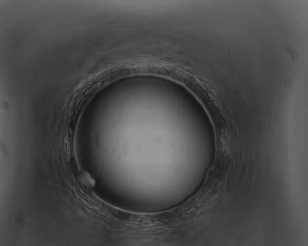 X0000090891493200708031041