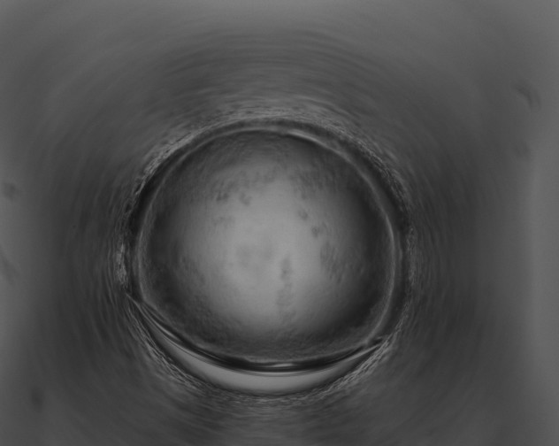 X0000090891497200708031041