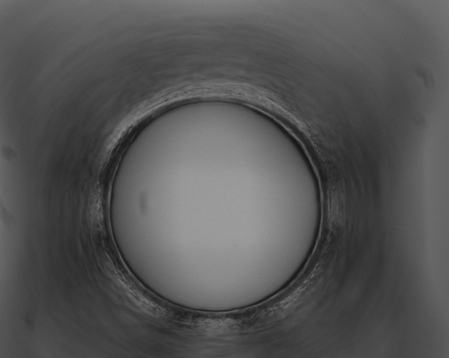 X0000090891498200708031041