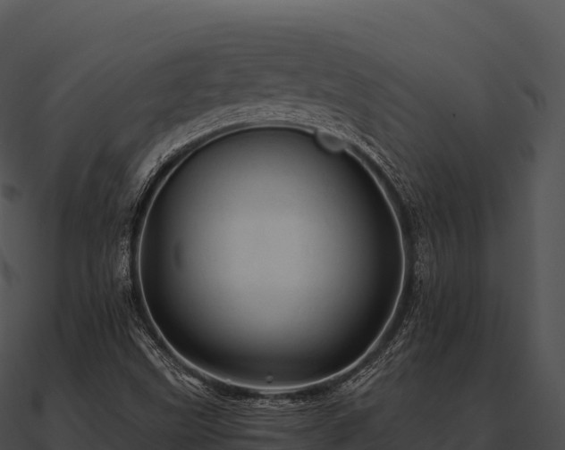 X0000090891499200708031041