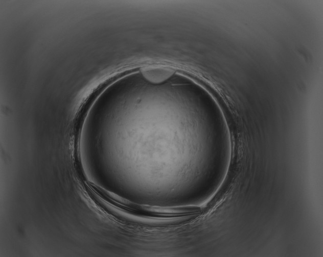 X0000090891503200708031041