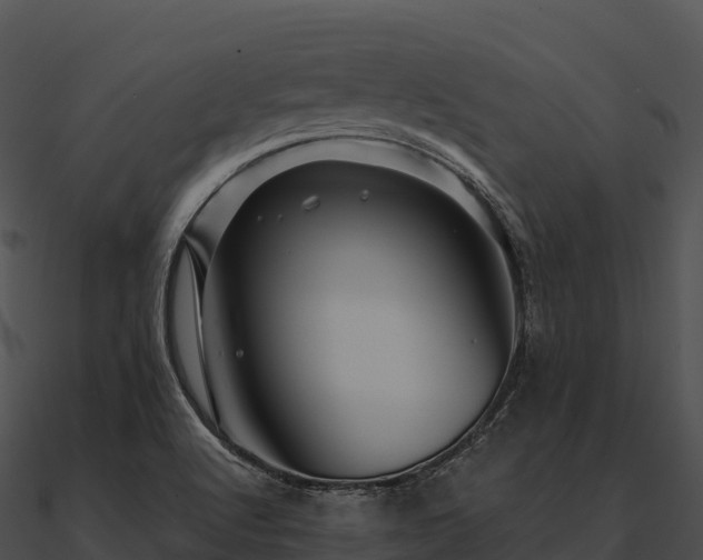 X0000090891512200708031041