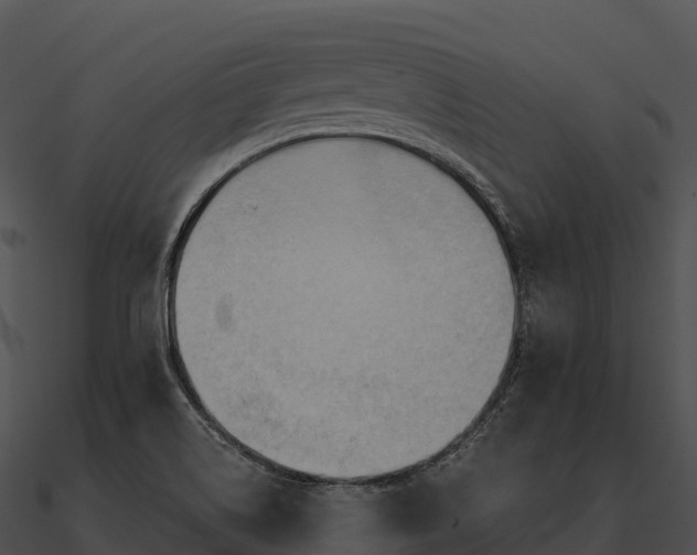 X0000090891514200708031041