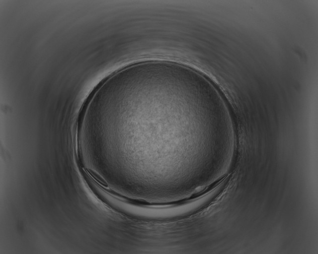 X0000090891515200708031041