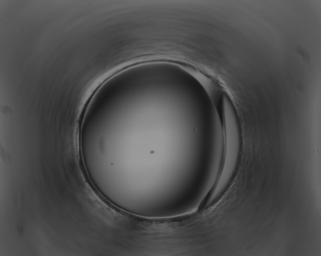 X0000090891516200708031041