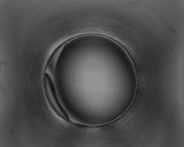 X0000090891519200708031042