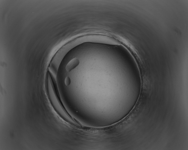 X0000090891520200708031042