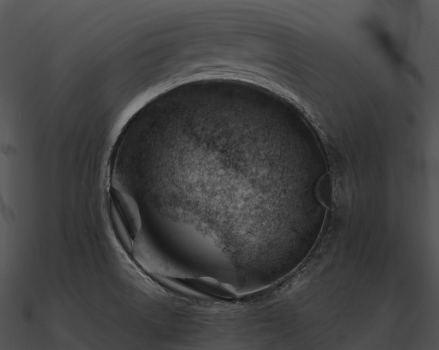 X0000090891522200708031042