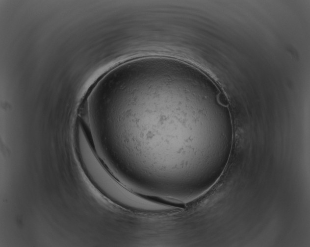 X0000090891523200708031042