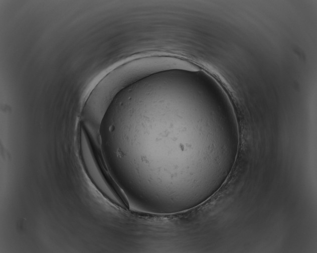 X0000090891524200708031042