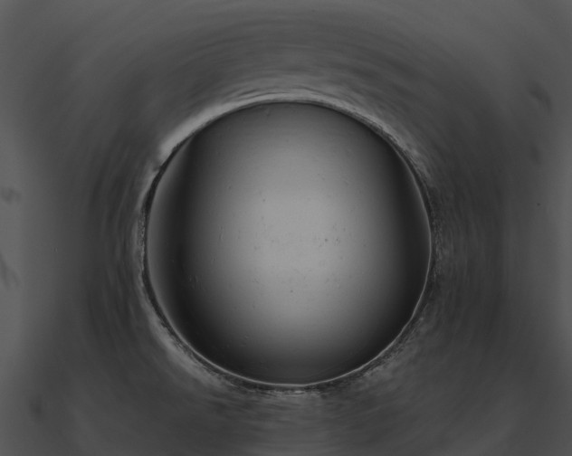 X0000090891526200708031042