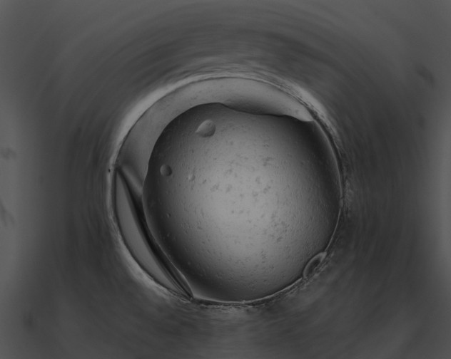 X0000090891528200708031042