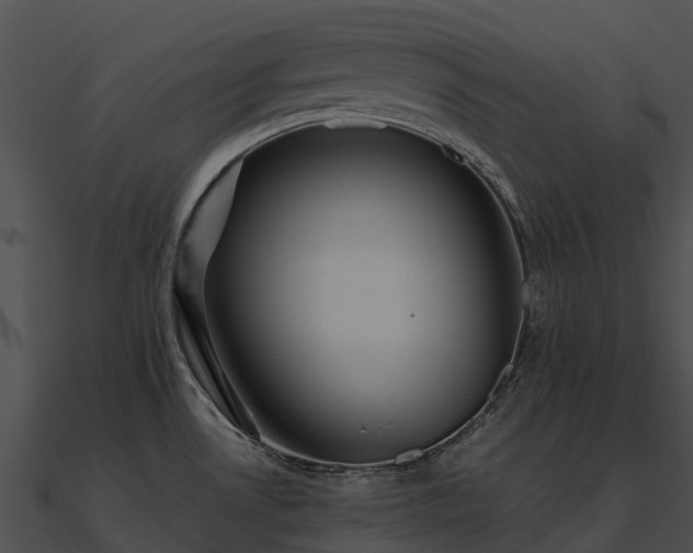 X0000090891530200708031042