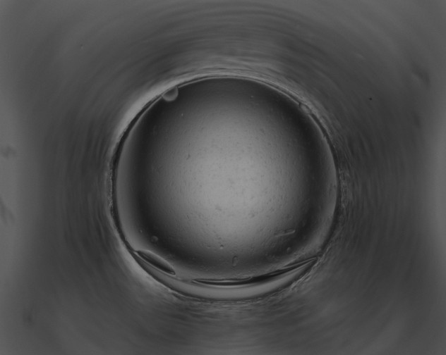 X0000090891531200708031042