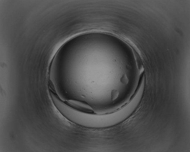 X0000090891532200708031042