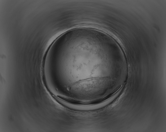 X0000090891533200708031042