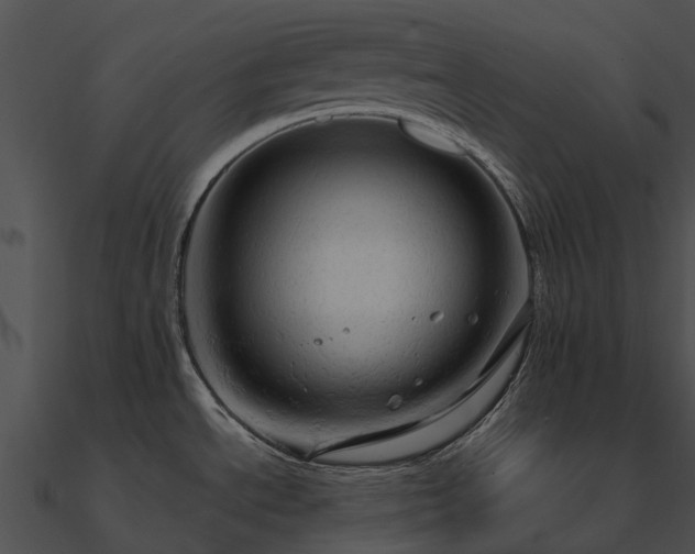 X0000090891534200708031042