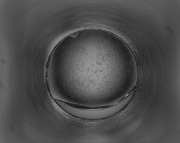 X0000090891535200708031042