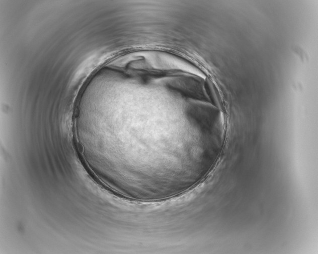 X0000090890002200708101410