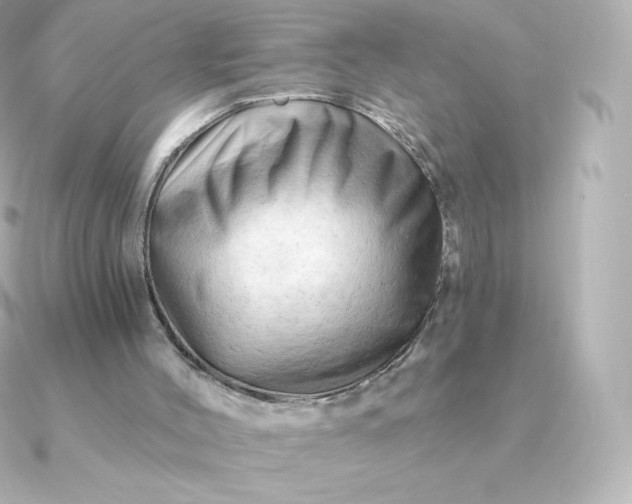 X0000090890004200708101410