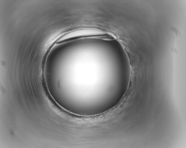 X0000090890005200708101410