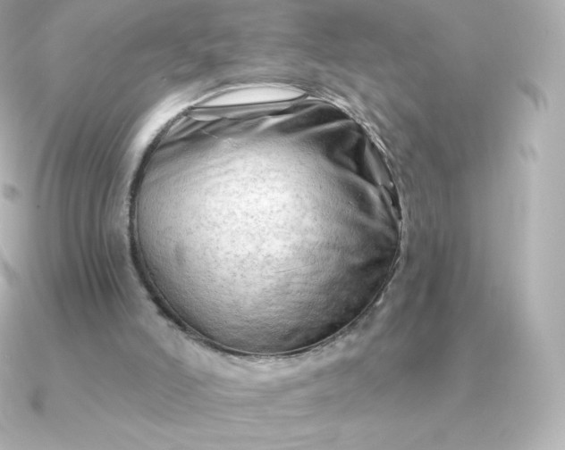 X0000090890006200708101410