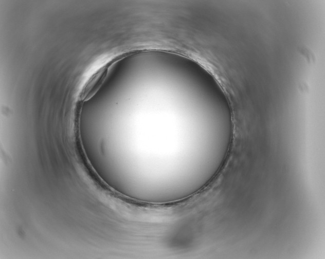 X0000090890008200708101410